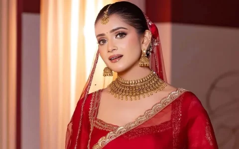 তানজিন তিশাকে আইনি নোটিশ, আপত্তিকর ছবি ছড়ানোর অভিযোগ