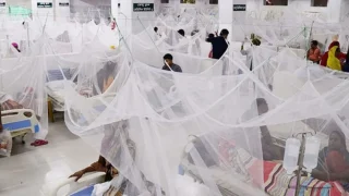 ডেঙ্গুতে আরও ৬ জনের মৃত্যু, হাসপাতালে ভর্তি ১৮৮৬